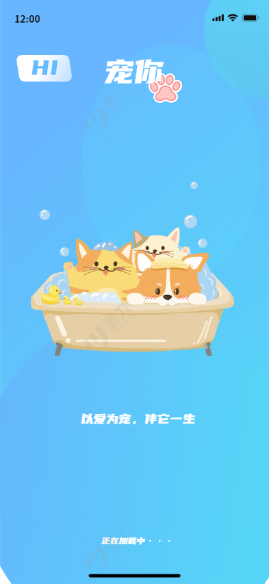 宠你启动页